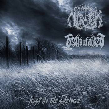 Nicrotek : Lost in the Silence